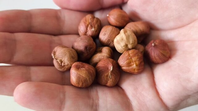 A handful of hazelnuts in your hand. Protein in nuts