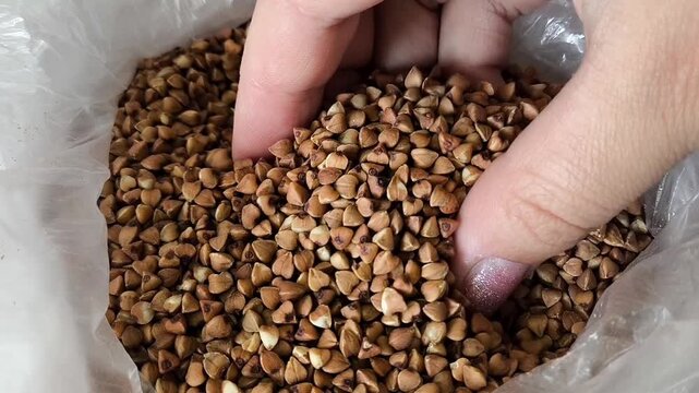 A woman's hand touches buckwheat in a bag