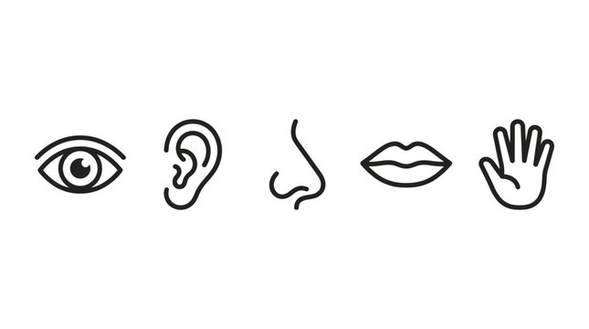 Five human senses line icons including eye, ear, nose, mouth, lips, and touching hand outline