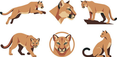 Mountain Lion and Cougar Wildlife Vector Set Featuring Puma Poses, Predator Portraits, Wild Cat Icons, and Nature Animal Illustration Collection © MdNazmul