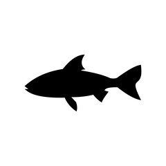 Fototapeta premium fish silhouette in black on a white background