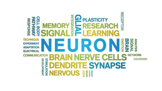 Neuron animated word cloud-text design animation tag kinetic typography seamless loop.