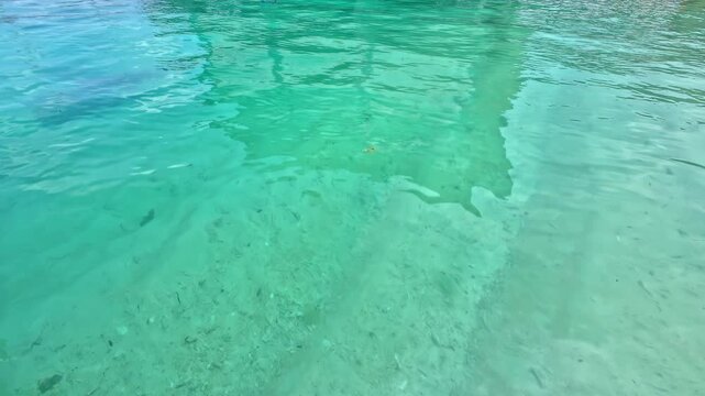 Crystal clear turquoise shallow water with tiny fish gliding over sandy seabed in Bali