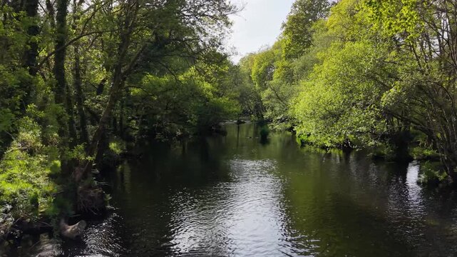 Flyover Parga River Near The Capela de San Alberte In Guitiriz, Galicia, Spain. Aerial Drone Shot
