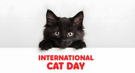 Cute fluffy black kitten peeking over a white edge with international cat day text isolated on white background