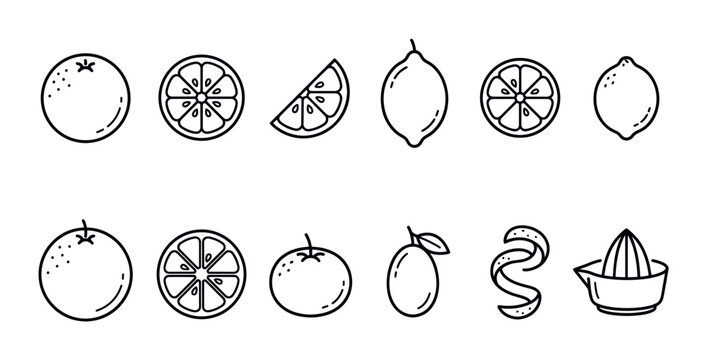 Collection of simple black outline citrus fruit icons including oranges, lemons, and a juicer on a clean white background