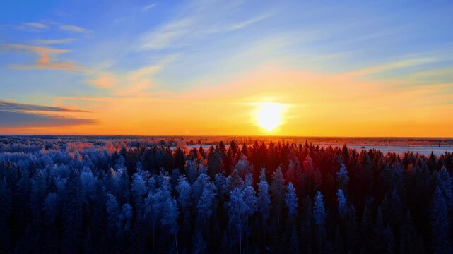 Low winter sun over frost covered forest canopy, Lapland, Finland. Elevated drone view of hoarfrost-laden treetops glowing orange and red from direct sunlight against blue sky with wispy clouds.