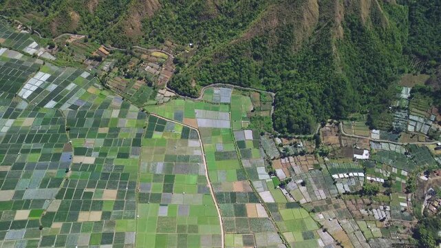 Aerial shot of Sembalun valley and patchwork farming fields, Lombok, Indonesia
