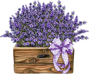 Fototapeta premium watercolor lavender vintage planter