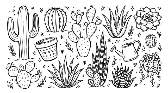 Diverse hand-drawn black and white succulent and cactus plants with a watering can and pot, creating a playful doodle pattern