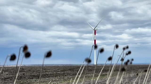 This video footage captures a wind turbine standing tall in an open landscape, framed by dry plants. The cloudy sky adds dramatic ambiance, ideal for energy-related projects.