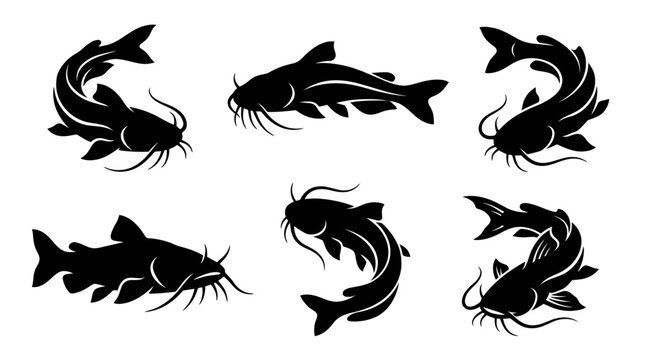 different black catfish silhouettes on a clean white background, minimalist vector style.