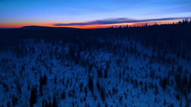 Silhouette of arctic fells above snow forest at polar sunset, Lapland, Finland. Dark spruce silhouettes on white snow plain, fiery orange red band at horizon below blue violet sky.