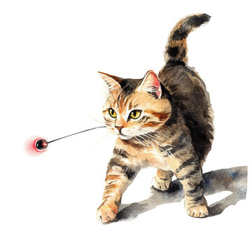 Cat Chasing A Laser Pointer, illustration watercolor, vector isolated on a white background.