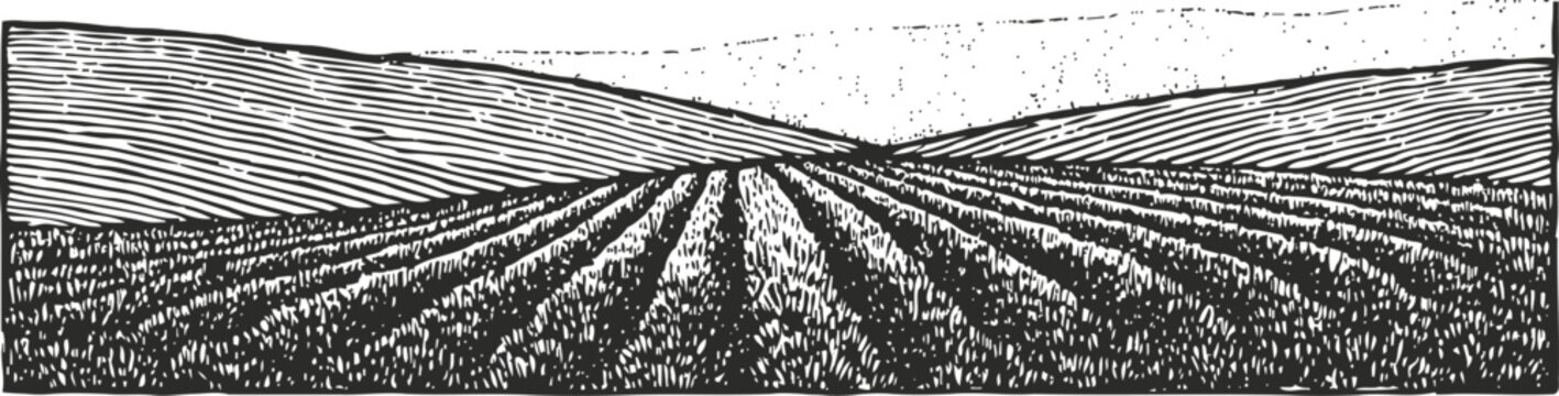 engraving of farmland with cultivated rows and rolling hills landscape vintage illustration