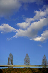 field and sky © Karol