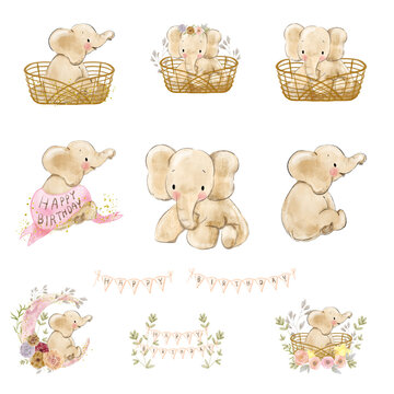 set of baby animals
