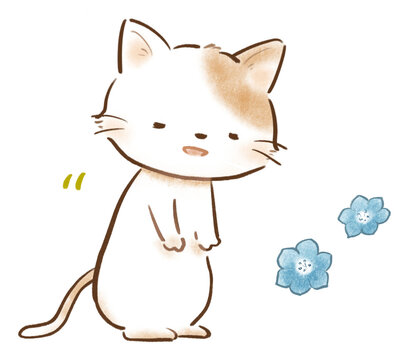 ペコリとおじぎする猫、挨拶するネコ