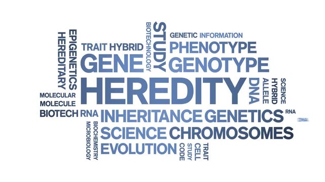 Heredity animated word cloud-text design animation tag kinetic typography seamless loop.