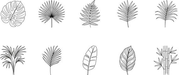 Collection of tropical leaf line art icons featuring monstera palm fern banana and bamboo foliage for botanical home decor wall art and minimalist graphic designs. © Malati