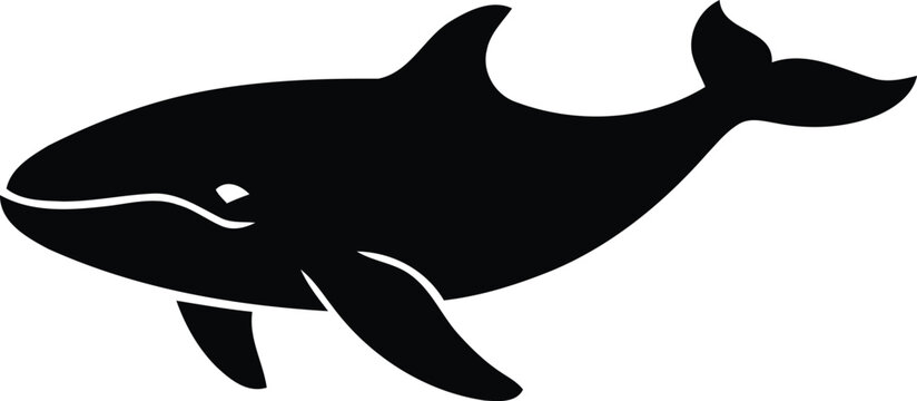 Killer whale orca silhouette vector marine mammal