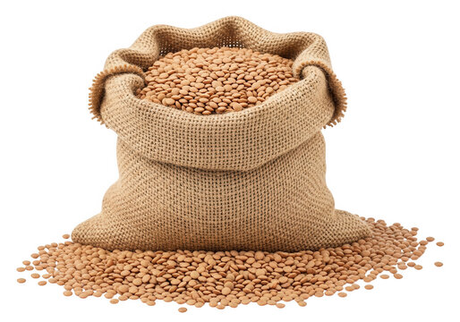 A rustic brown burlap sack filled to the brim with raw organic buckwheat groats for cooking food