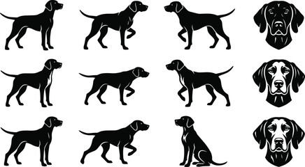 Pointer dog breed black silhouette set with hunting gundog poses and head portraits isolated on white background vector illustration. © Nayan