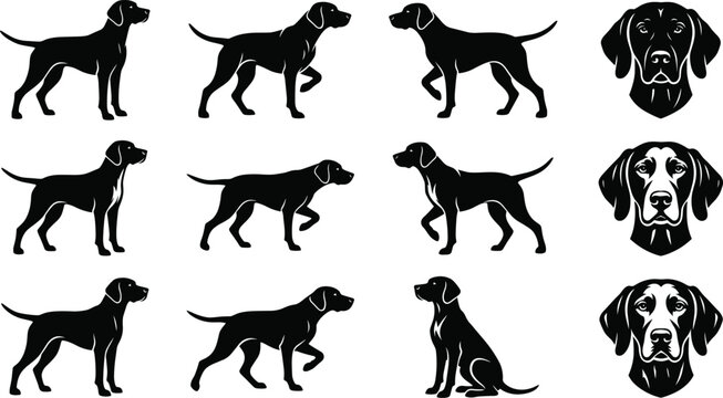 Pointer dog breed black silhouette set with hunting gundog poses and head portraits isolated on white background vector illustration.