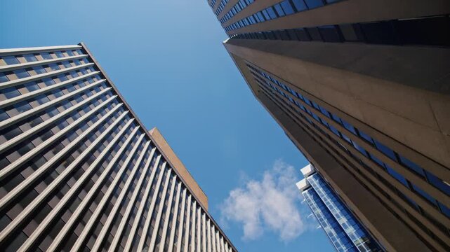 Discover the breathtaking view of tall skyscrapers framed by tree branches in Downtown Halifax. Enjoy the impressive urban architecture and vibrant atmosphere