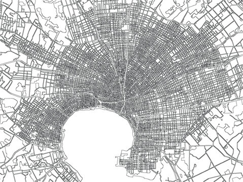 Los Angeles USA City Map Vector Roads Urban Monochrome Line Art Cartography Minimal Aerial View District Infrastructure Transportation Scheme Streets