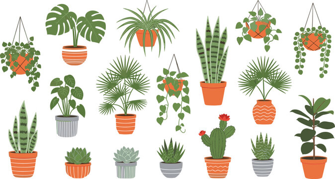 Houseplant decorative illustration collection, indoor greenery artwork, succulent cactus design composition, potted motif vector set, botanical lifestyle graphics