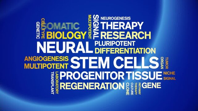 Neural Stem Cells animated word cloud-text design animation tag kinetic typography seamless loop.