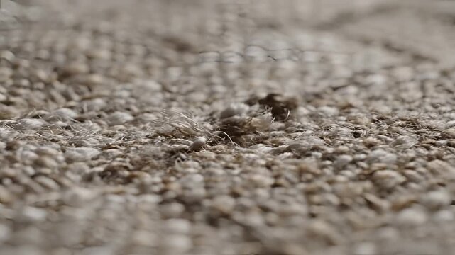 Closeup macro shot of a textured carpet surface with intricate weave detail.