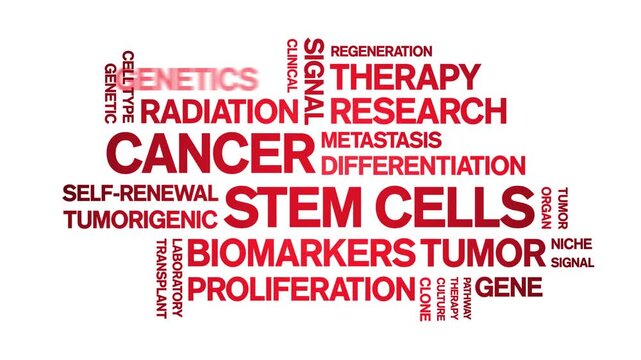 Cancer Stem Cells animated word cloud-text design animation tag kinetic typography seamless loop.