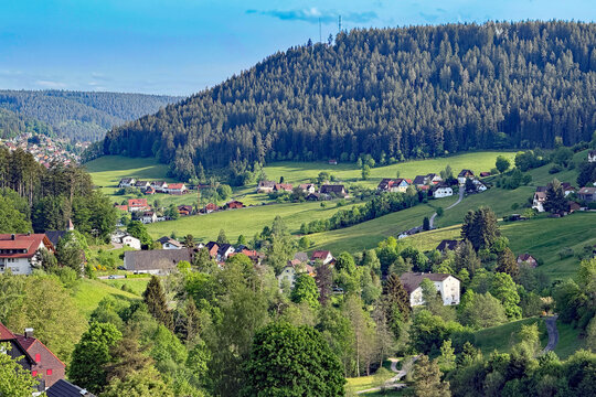 Tonbachtal