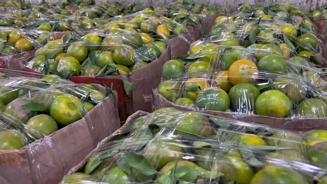 Fresh orange inside the box and ready to deliver into the store