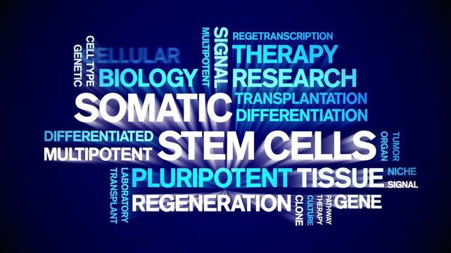 Somatic Stem Cells animated word cloud-text design animation tag kinetic typography seamless loop.