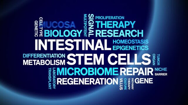intestinal Stem Cells animated word cloud-gross domestic product animation tag kinetic typography seamless loop.