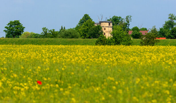 Alte Muehle bei Stehla
