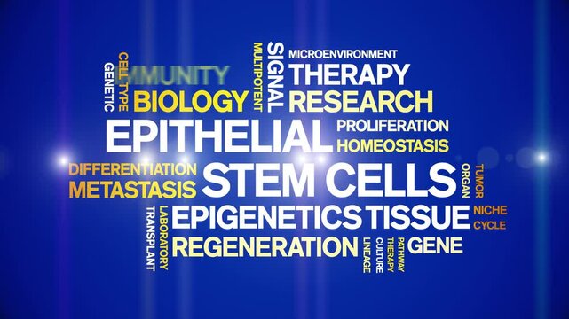 Epithelial Stem Cells animated word cloud-gross domestic product animation tag kinetic typography seamless loop.