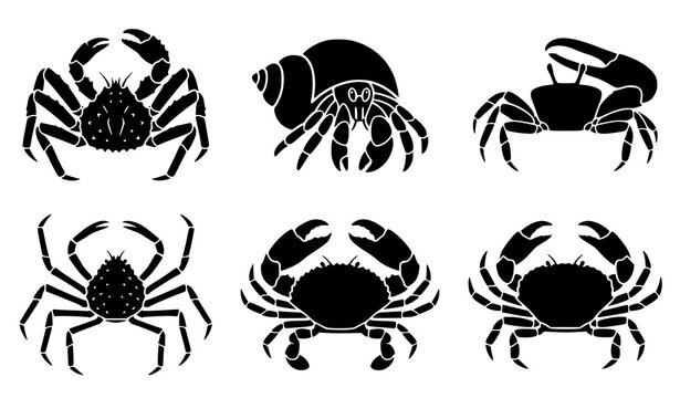 Marine Crab Crustacean Solid Icon Collection with King Hermit Fiddler Spider and Mud Crab Vector Set
