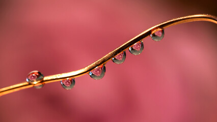 gouttelettes sur un fil  © fotoeliane