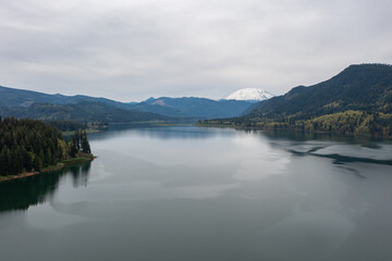 Fototapeta premium Aerial drone picture of Yale Lake with Mount St Helens in the background, Washington, USA. Calm water, forested shoreline and Pacific Northwest landscape, ideal for nature background, outdoor scene