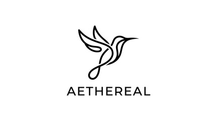 Fototapeta premium aethereal hummingbird logo design.