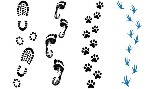 Footprints Pattern Brush Collection with Human and Animal Tracks for Seamless Design, Illustration, and Creative Artwork Use