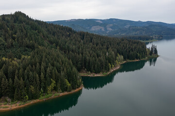 Fototapeta premium Aerial drone picture of Yale Lake surrounded by forest in Washington, USA. Calm water, scenic shoreline and Pacific Northwest landscape, ideal for nature background and outdoor scenes