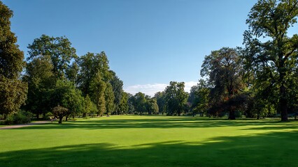 Obraz premium Wide Park Landscape with Lush Green Grass and Trees