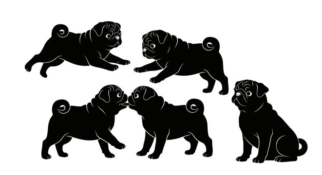 Set of black pug dog silhouettes in various playful poses.