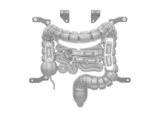 Cybernetic Colon Large Intestine Prosthetic 3D Illustration with Flexible Titanium Haustra Joint Design