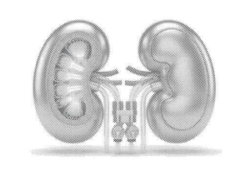 Cybernetic Renal Kidney Prosthetic 3D Illustration with Titanium Filtration and Glowing Nano Layers